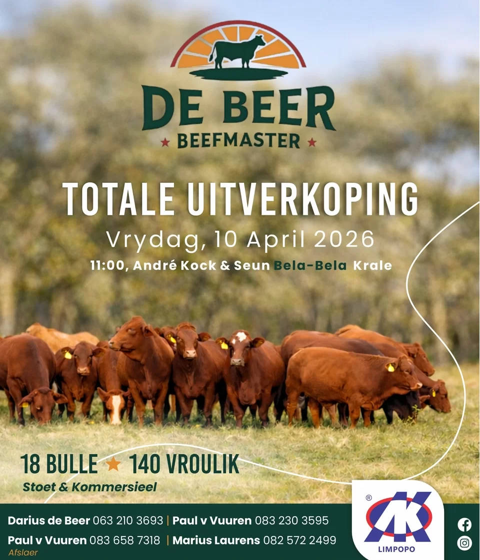 de-beer-save-the-date-0
